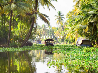 Alappuzha